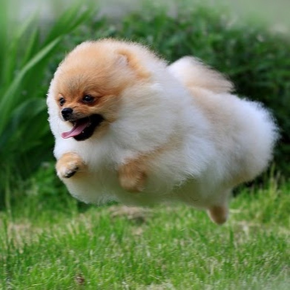 Meet your Posher, Christie